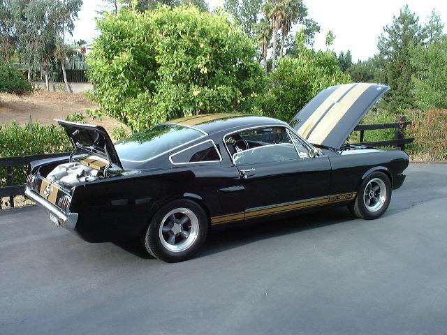 1965 shelby gt 350 351